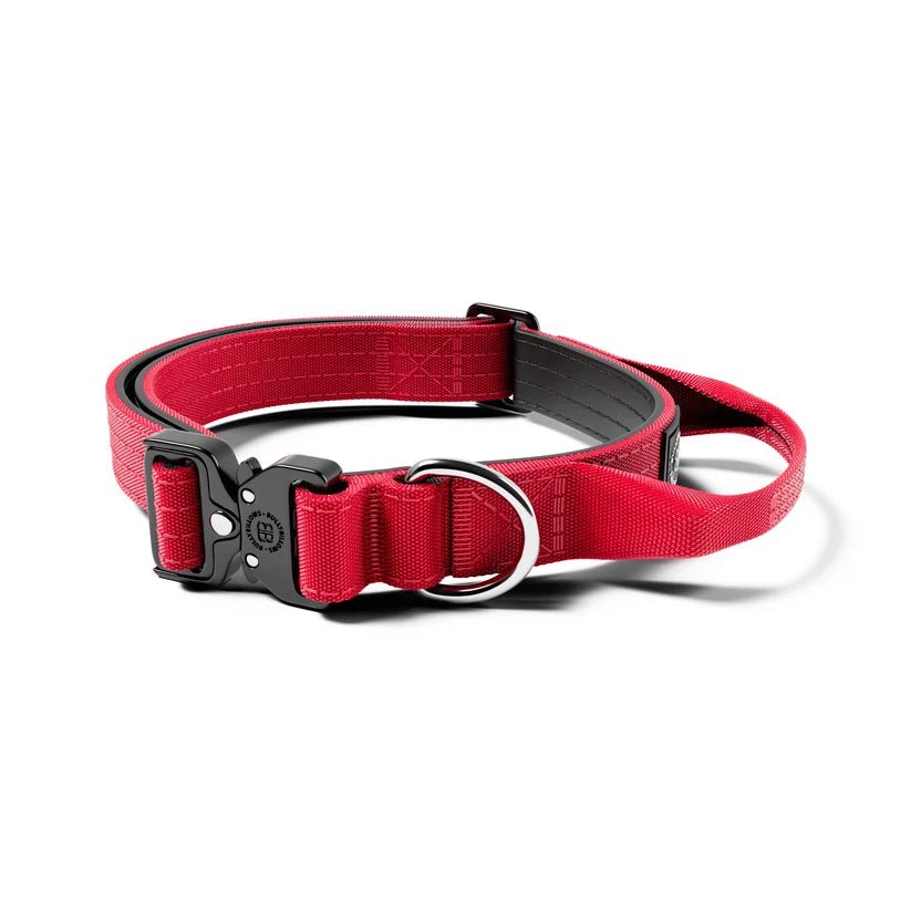 2.5cm Combat® Collar | With Handle & Rated Clip - House Of PDB