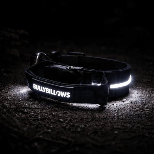BullyBillows 2.5cm Combat® LED Dog Collar – USB Rechargeable Light-Up Collar - House Of PDB