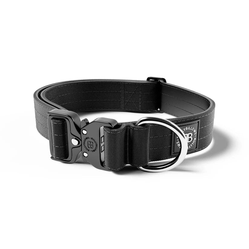 BullyBillows 4cm Combat® Dog Collar – Heavy-Duty Adjustable Collar - House Of PDB