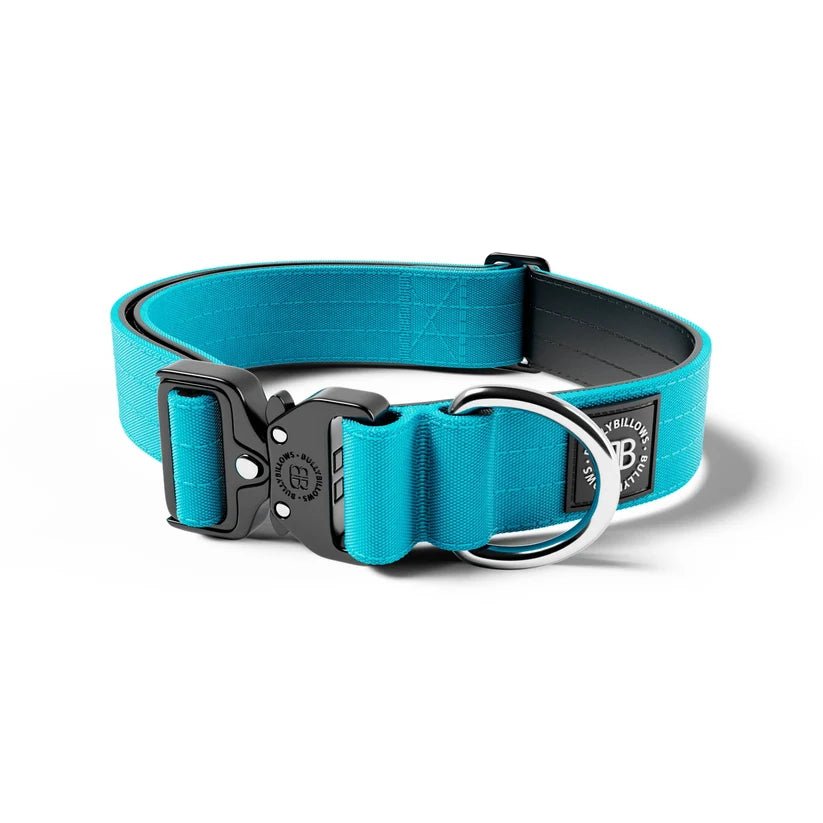 BullyBillows 4cm Combat® Dog Collar – Heavy-Duty Adjustable Collar - House Of PDB