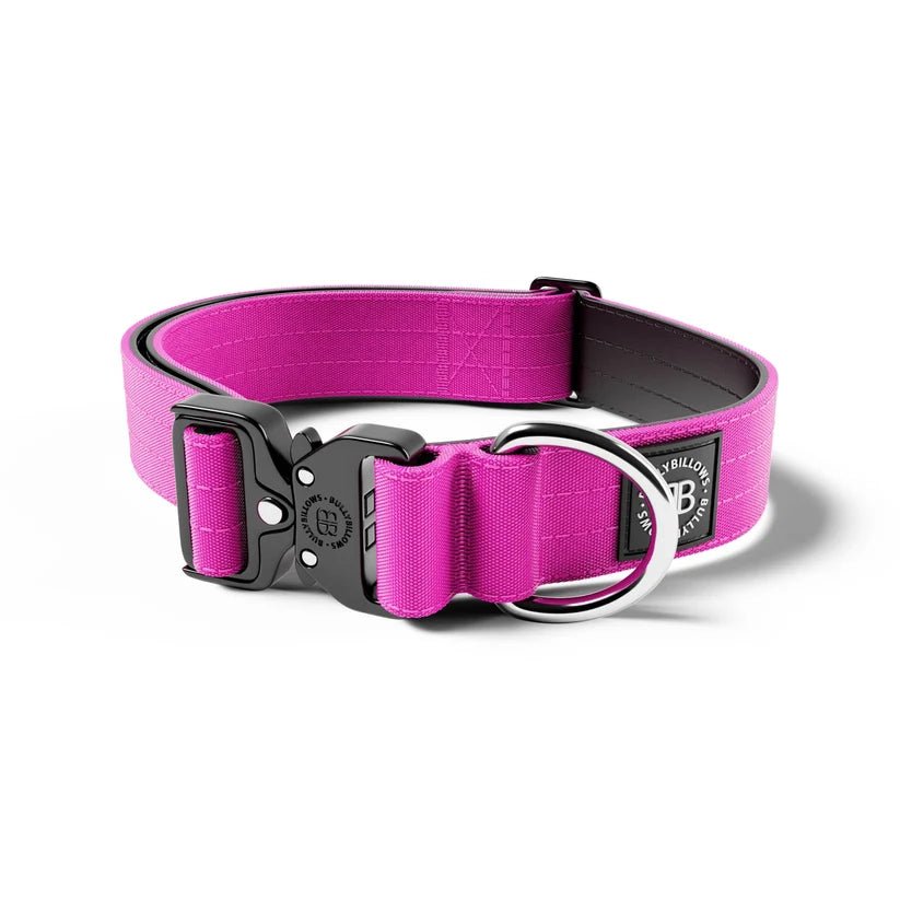 BullyBillows 4cm Combat® Dog Collar – Heavy-Duty Adjustable Collar - House Of PDB
