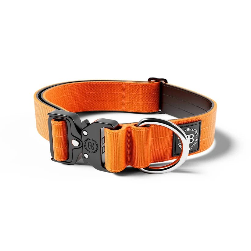 BullyBillows 4cm Combat® Dog Collar – Heavy-Duty Adjustable Collar - House Of PDB
