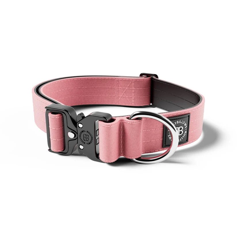 BullyBillows 4cm Combat® Dog Collar – Heavy-Duty Adjustable Collar - House Of PDB