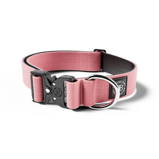 BullyBillows 4cm Combat® Dog Collar – Heavy-Duty Adjustable Collar - House Of PDB