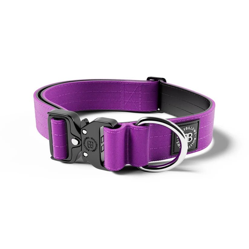 BullyBillows 4cm Combat® Dog Collar – Heavy-Duty Adjustable Collar - House Of PDB