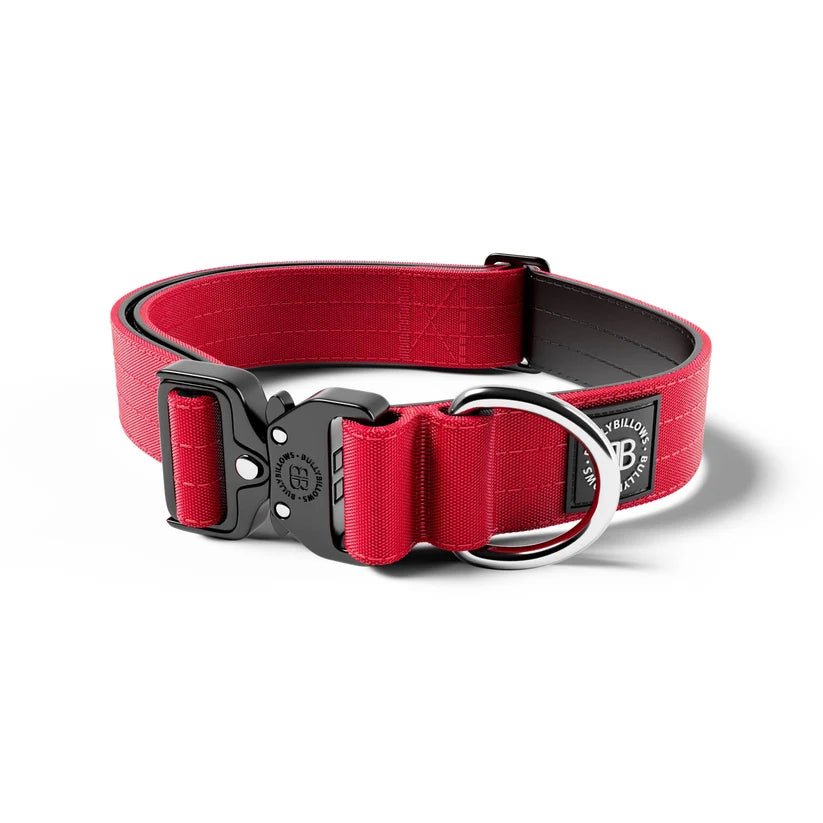 BullyBillows 4cm Combat® Dog Collar – Heavy-Duty Adjustable Collar - House Of PDB