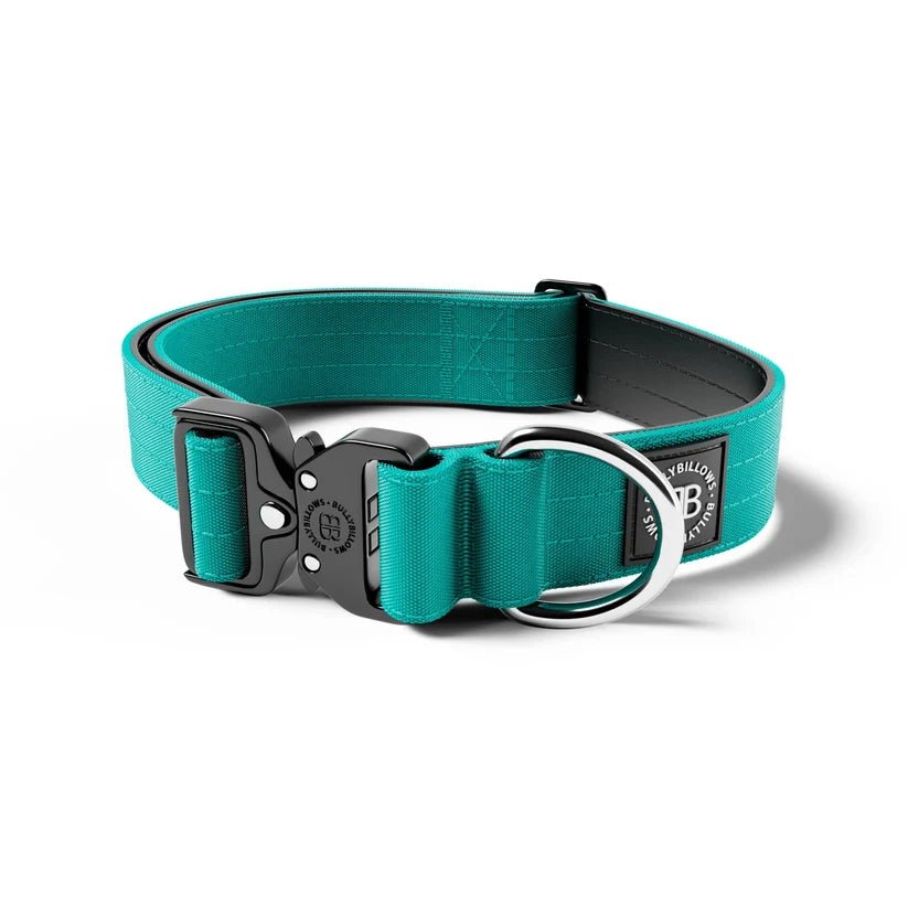 BullyBillows 4cm Combat® Dog Collar – Heavy-Duty Adjustable Collar - House Of PDB
