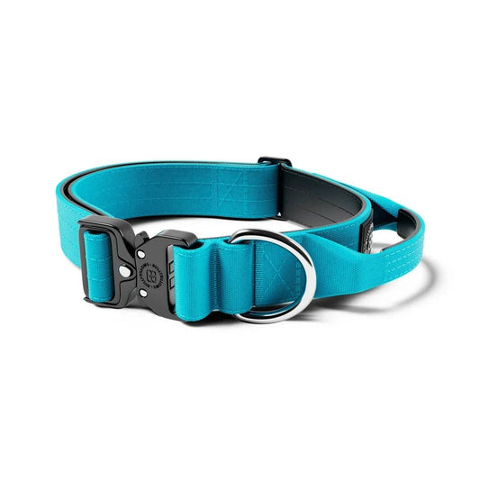 BullyBillows 4cm Combat® Dog Collar | With Handle & Secure Clip - House Of PDB
