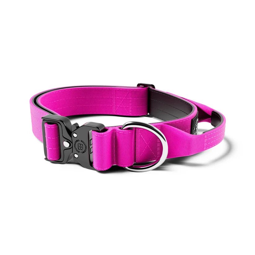 BullyBillows 4cm Combat® Dog Collar | With Handle & Secure Clip - House Of PDB