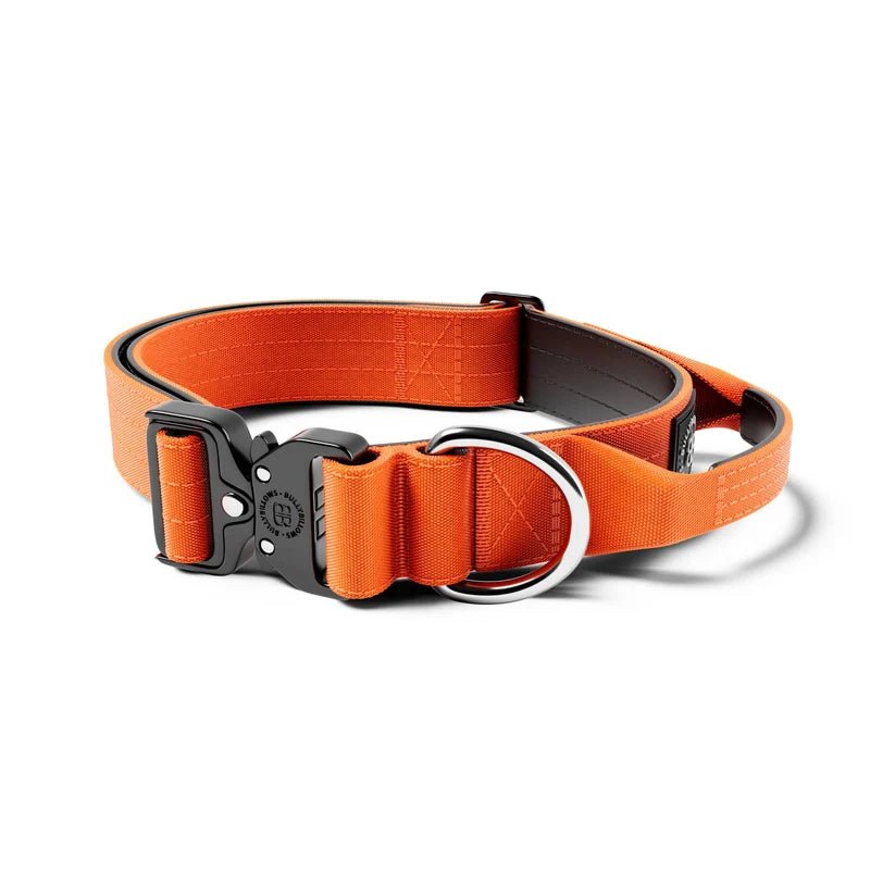 BullyBillows 4cm Combat® Dog Collar | With Handle & Secure Clip - House Of PDB