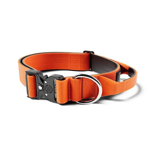 BullyBillows 4cm Combat® Dog Collar | With Handle & Secure Clip - House Of PDB