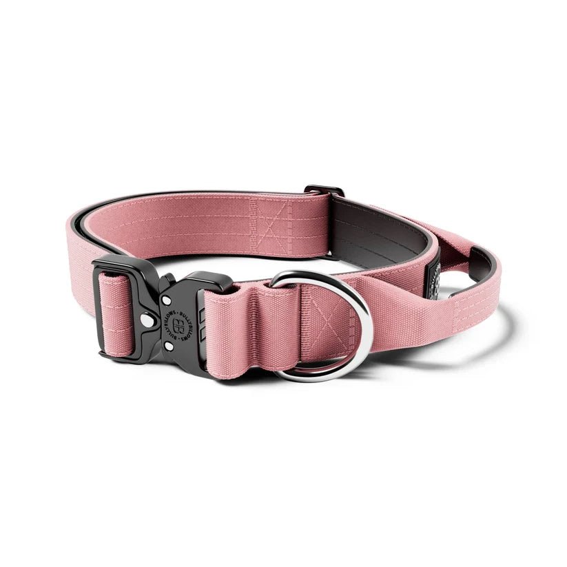 BullyBillows 4cm Combat® Dog Collar | With Handle & Secure Clip - House Of PDB