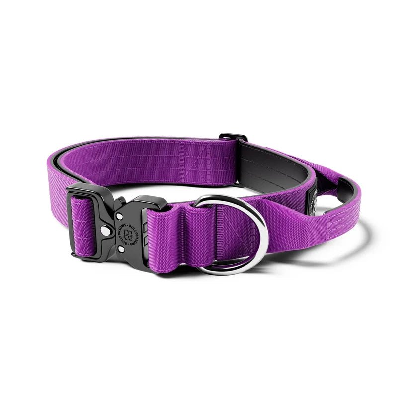 BullyBillows 4cm Combat® Dog Collar | With Handle & Secure Clip - House Of PDB