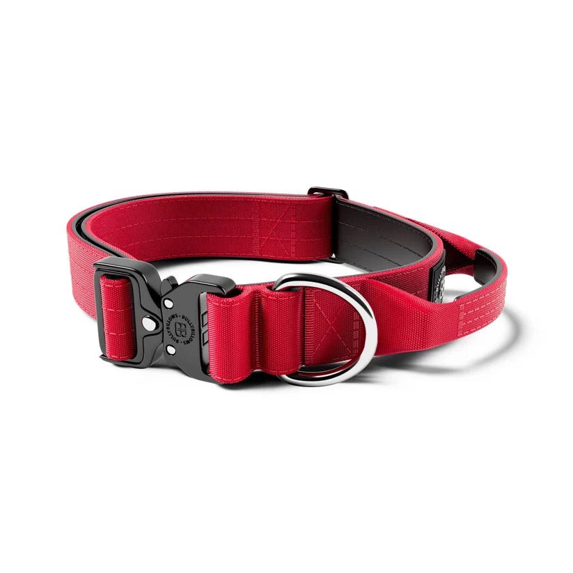 BullyBillows 4cm Combat® Dog Collar | With Handle & Secure Clip - House Of PDB