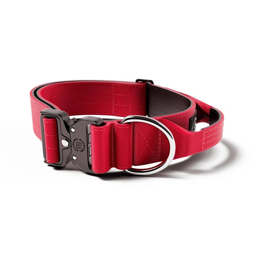 BullyBillows 5cm Combat® Dog Collar – Heavy-Duty Collar with Control Handle - House Of PDB