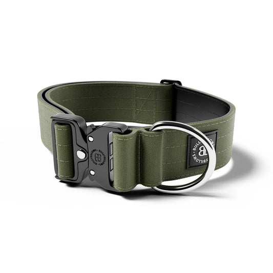 BullyBillows 5cm Combat® Dog Collar – Heavy-Duty Adjustable Collar - House Of PDB