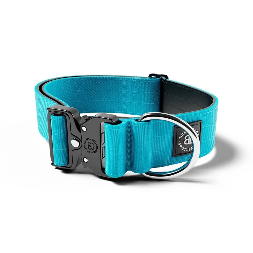 BullyBillows 5cm Combat® Dog Collar – Heavy-Duty Adjustable Collar - House Of PDB