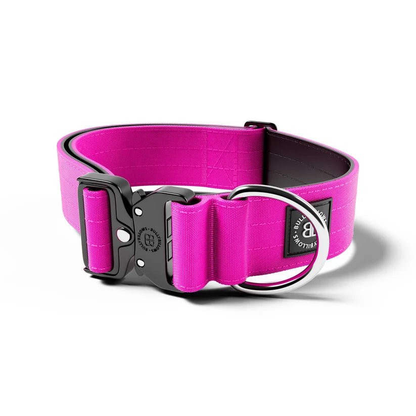 BullyBillows 5cm Combat® Dog Collar – Heavy-Duty Adjustable Collar - House Of PDB