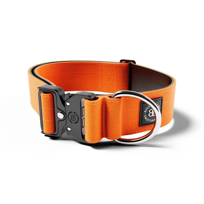 BullyBillows 5cm Combat® Dog Collar – Heavy-Duty Adjustable Collar - House Of PDB