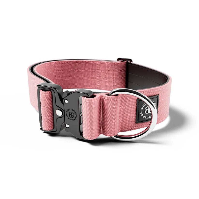 BullyBillows 5cm Combat® Dog Collar – Heavy-Duty Adjustable Collar - House Of PDB