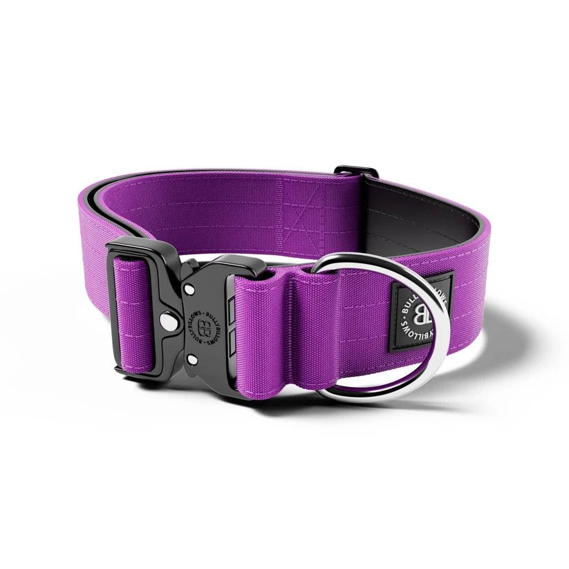 BullyBillows 5cm Combat® Dog Collar – Heavy-Duty Adjustable Collar - House Of PDB