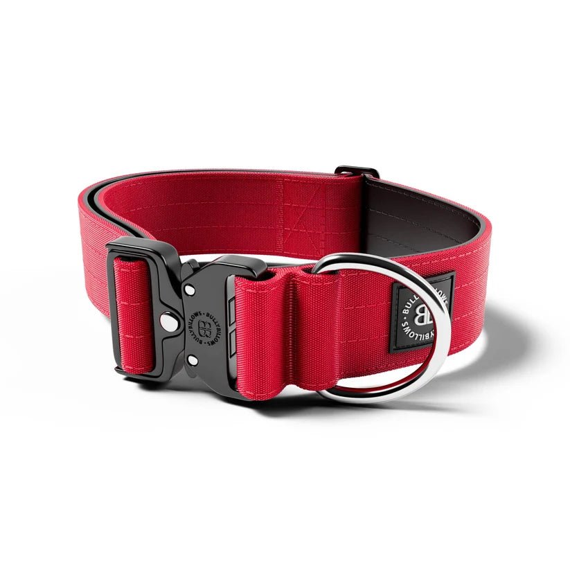 BullyBillows 5cm Combat® Dog Collar – Heavy-Duty Adjustable Collar - House Of PDB