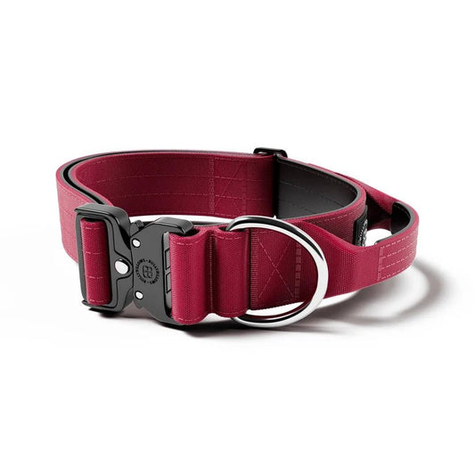 BullyBillows 5cm Combat® Dog Collar – Heavy-Duty Collar with Control Handle - House Of PDB