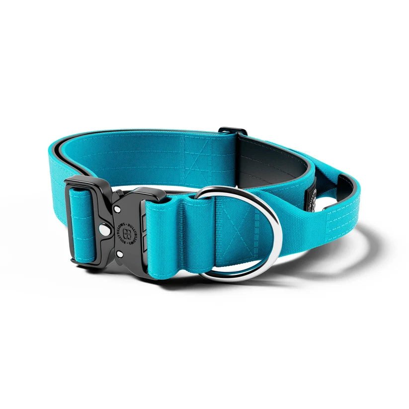 BullyBillows 5cm Combat® Dog Collar – Heavy-Duty Collar with Control Handle - House Of PDB