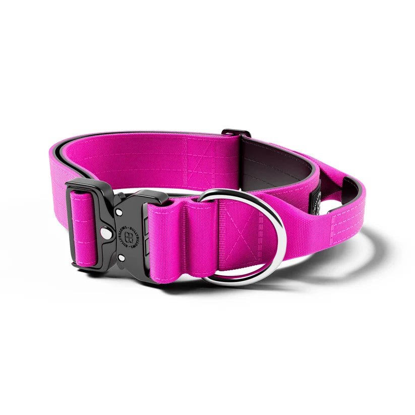 BullyBillows 5cm Combat® Dog Collar – Heavy-Duty Collar with Control Handle - House Of PDB