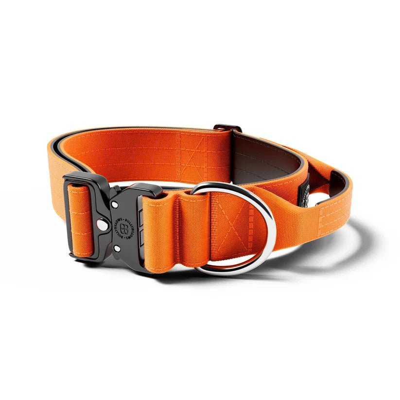 BullyBillows 5cm Combat® Dog Collar – Heavy-Duty Collar with Control Handle - House Of PDB