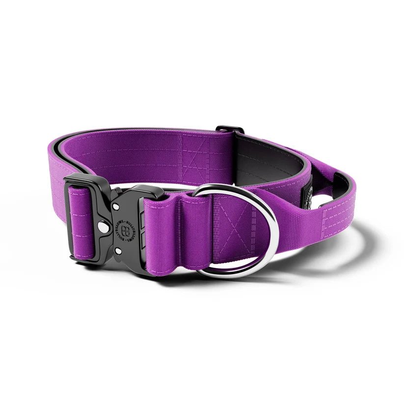 BullyBillows 5cm Combat® Dog Collar – Heavy-Duty Collar with Control Handle - House Of PDB