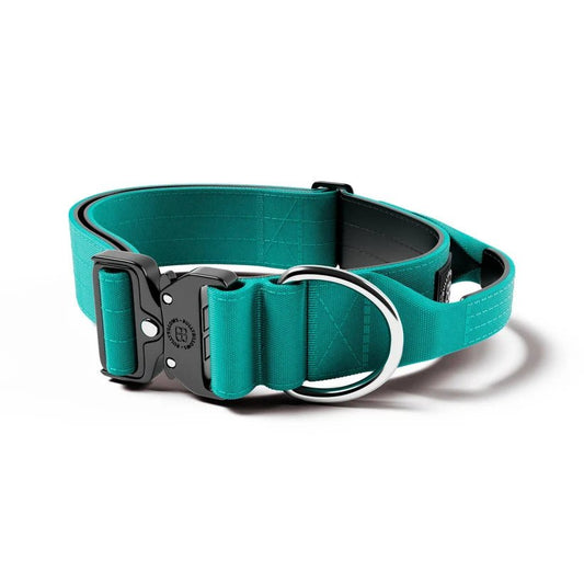 BullyBillows 5cm Combat® Dog Collar – Heavy-Duty Collar with Control Handle - House Of PDB
