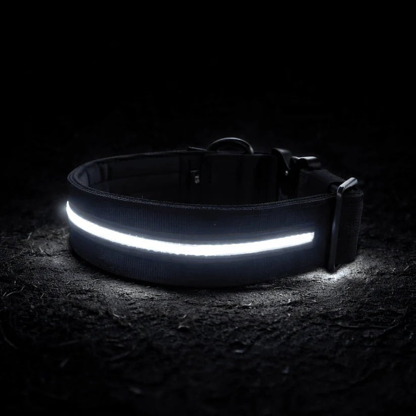 BullyBillows 5cm Combat® LED Dog Collar – USB Rechargeable Light-Up Collar - House Of PDB
