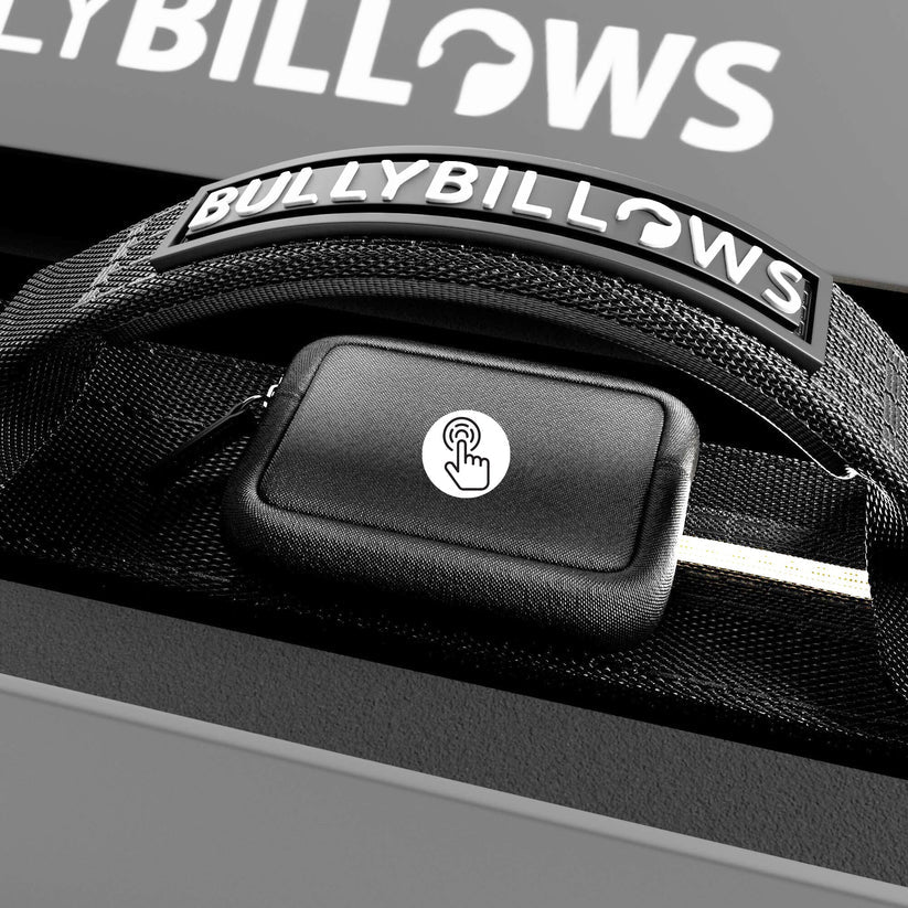 BullyBillows 5cm Combat® LED Dog Collar – USB Rechargeable Light-Up Collar - House Of PDB