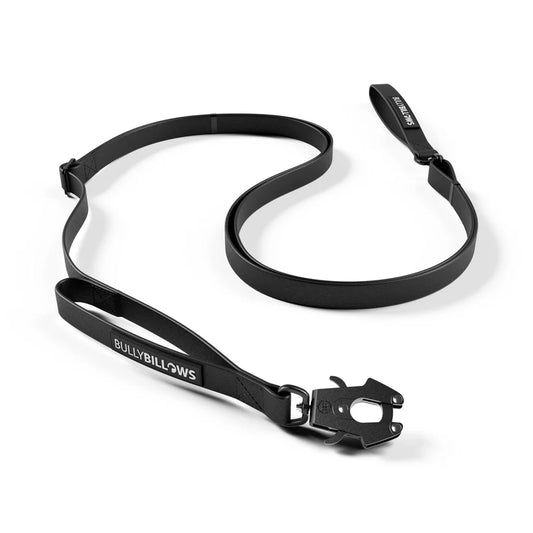 BullyBillows Adjustable Billowthane® Dog Lead – 2m to 3m Waterproof Training Lead - House Of PDB
