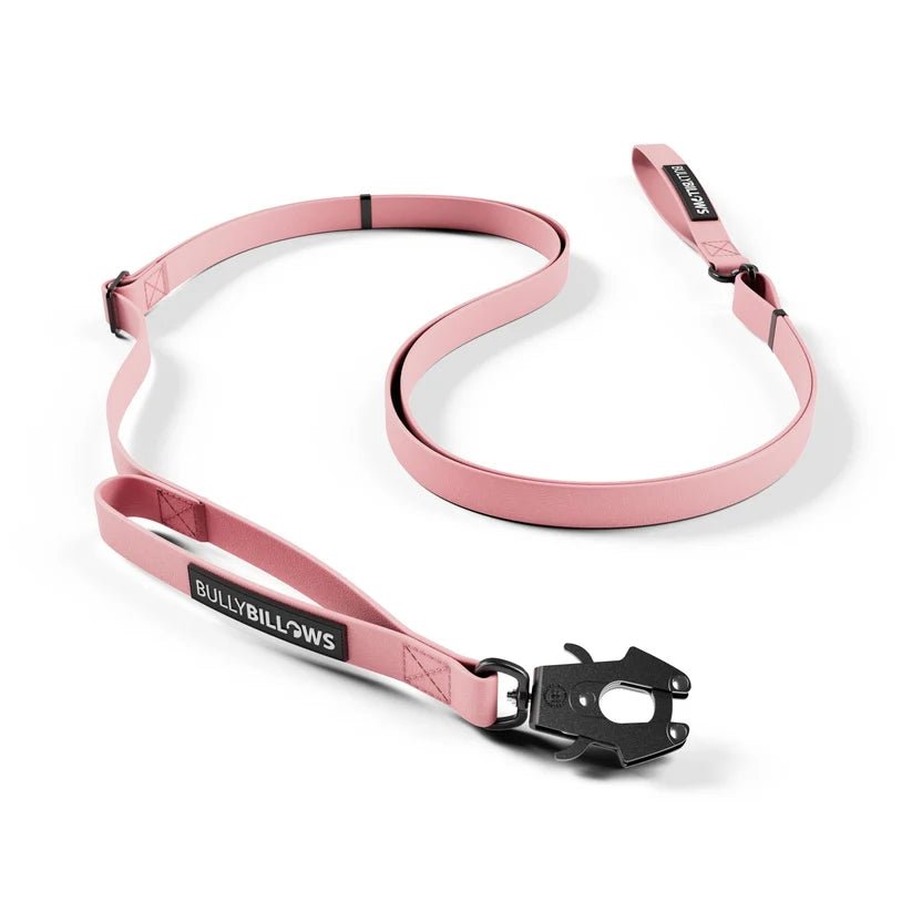 BullyBillows Adjustable Billowthane® Dog Lead – 2m to 3m Waterproof Training Lead - House Of PDB