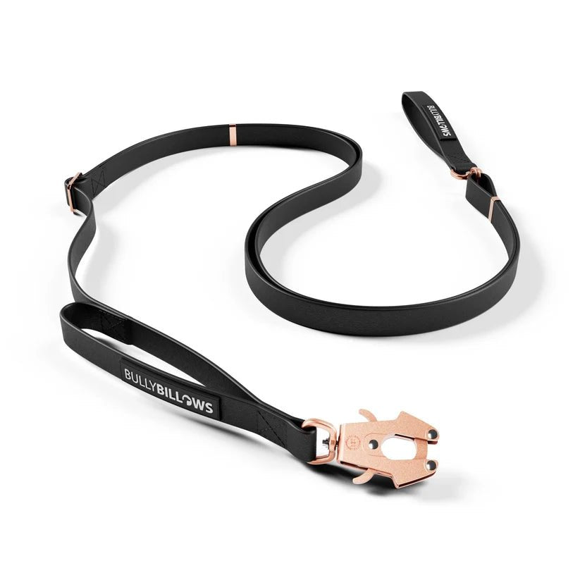 BullyBillows Adjustable Billowthane® Dog Lead – 2m to 3m Waterproof Training Lead - House Of PDB
