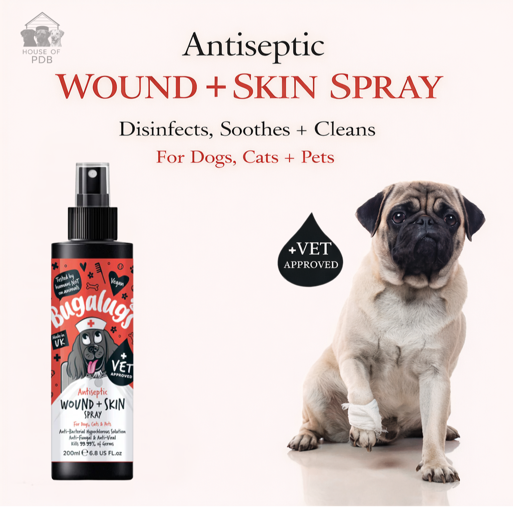 Bugalugs antiseptic wound and skin spray for pets with a pug sitting next to it.
