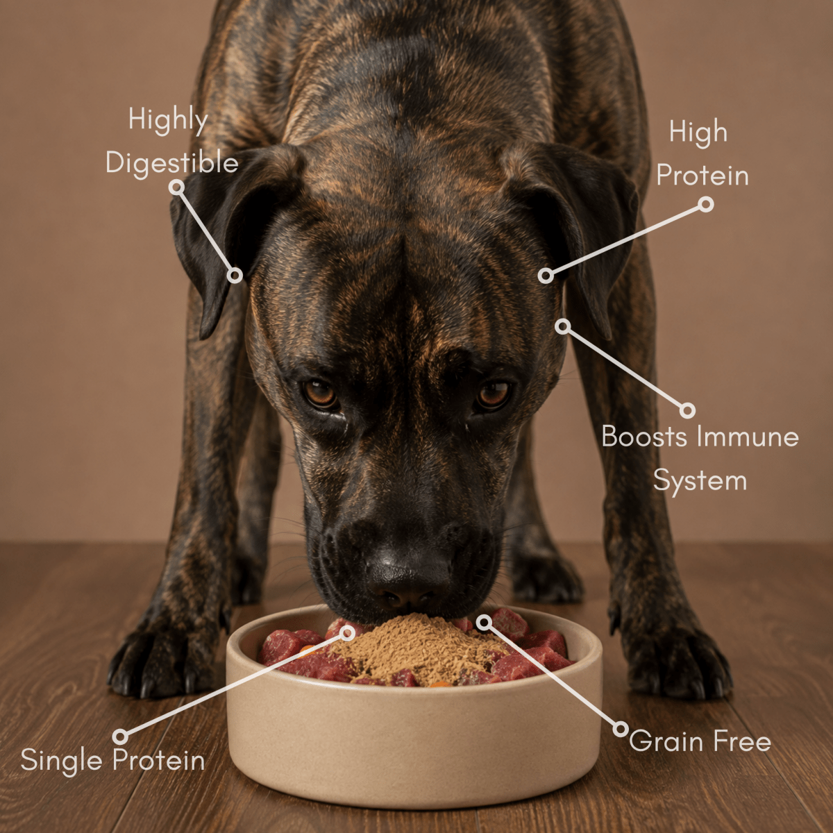 Waita Freeze Dried Beef Liver Powder 90g - House Of PDB