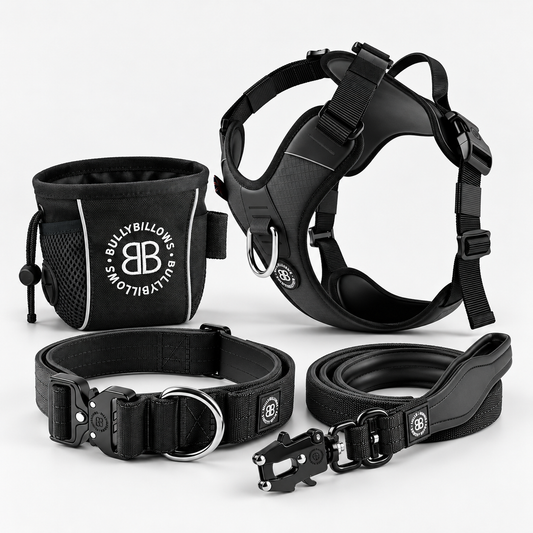 Black dog training gear set including a harness, collar, leash, and a black mesh pouch with a white BullbyBullby logo, arranged on a light gray background.