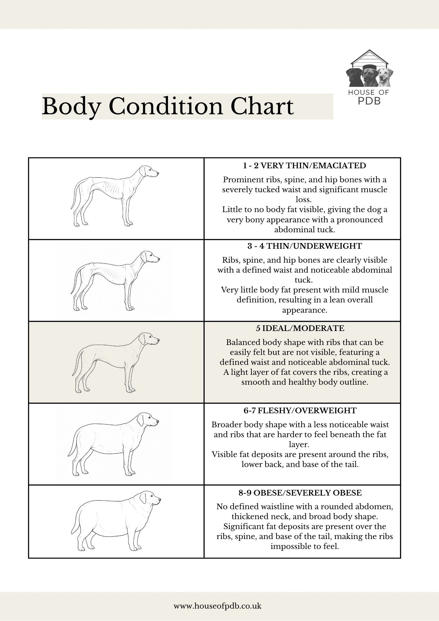 Dog Body Condition Score Chart - HOUSE OF PDB