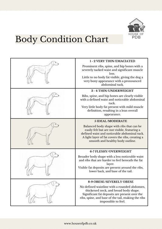 Dog Body Condition Score Chart - HOUSE OF PDB