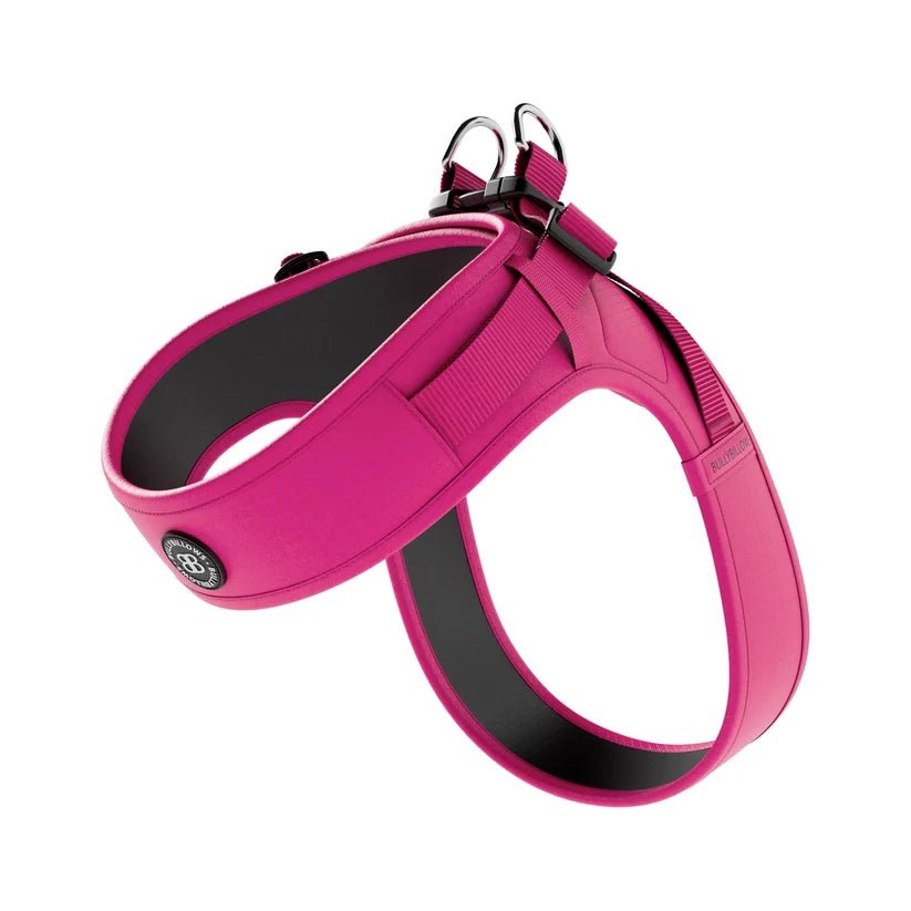 BullyBillows Boomerang Dog Harness – Lightweight, Adjustable, Comfortable - House Of PDB