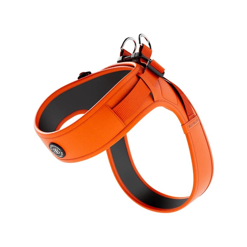 BullyBillows Boomerang Dog Harness – Lightweight, Adjustable, Comfortable - House Of PDB