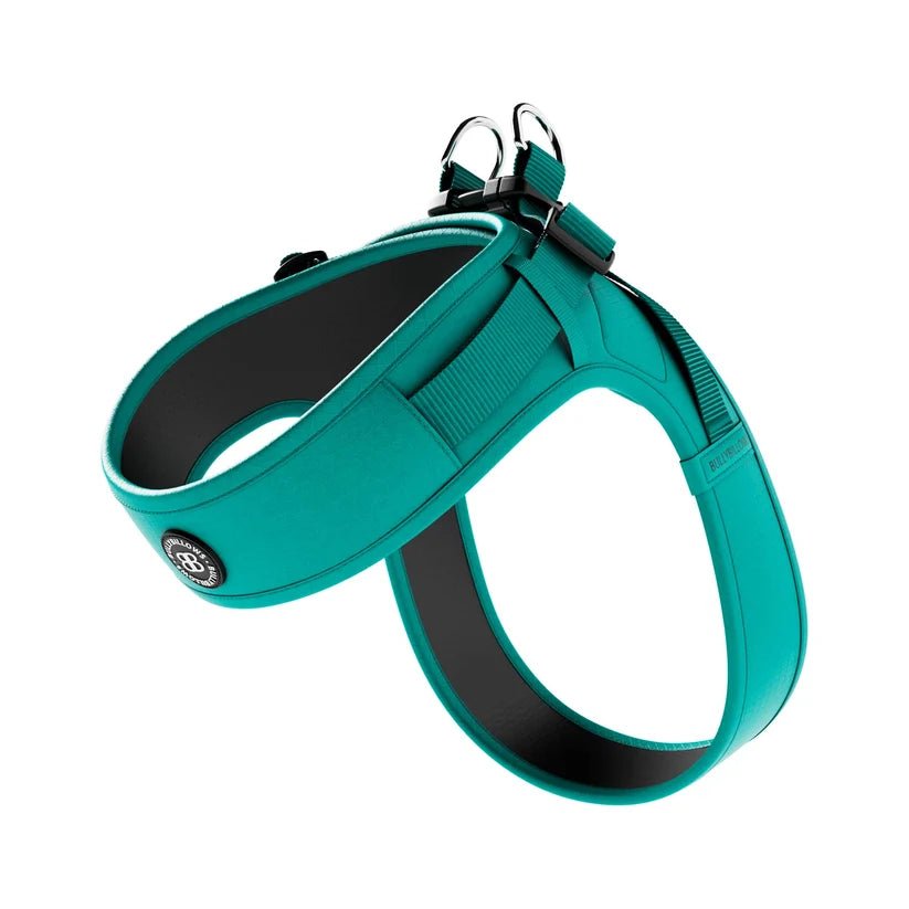 BullyBillows Boomerang Dog Harness – Lightweight, Adjustable, Comfortable - House Of PDB
