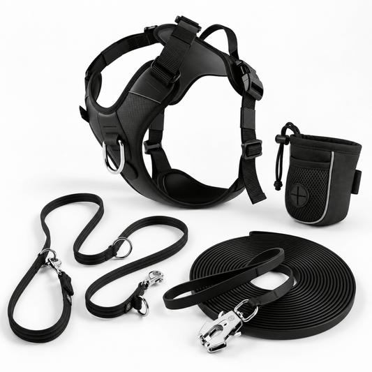 Dog Training Bundle – Anti Pull Harness, Training Lead, Recall Lead and Treat Pouch - House Of PDB