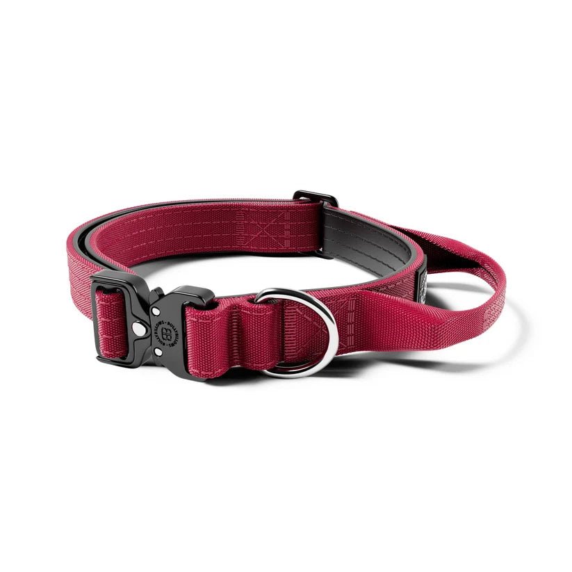 2.5cm Combat® Collar | With Handle & Rated Clip - House Of PDB