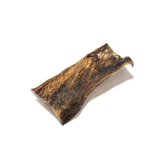 Natural dried camel skin dog treat on white background, House Of PDB pet wellness product