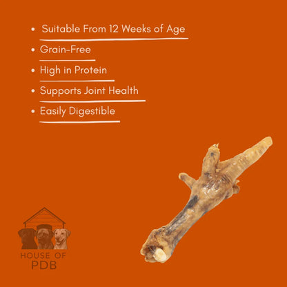 Single dried chicken foot dog treat on orange background with health benefits listed