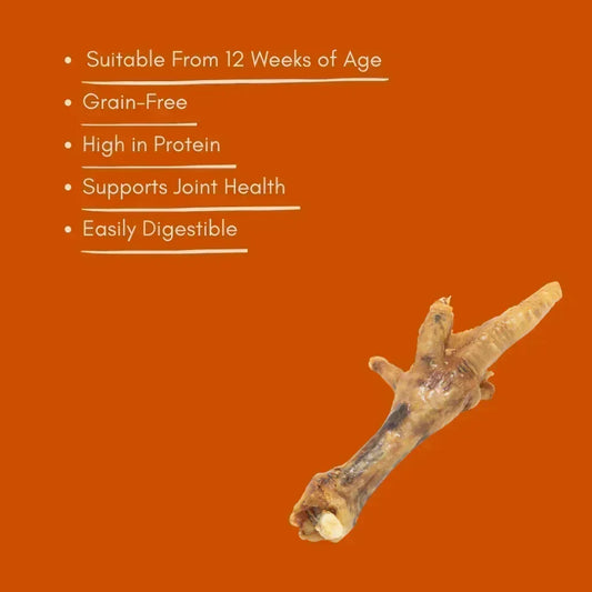 Natural dried chicken foot dog treat on orange background with key benefits listed